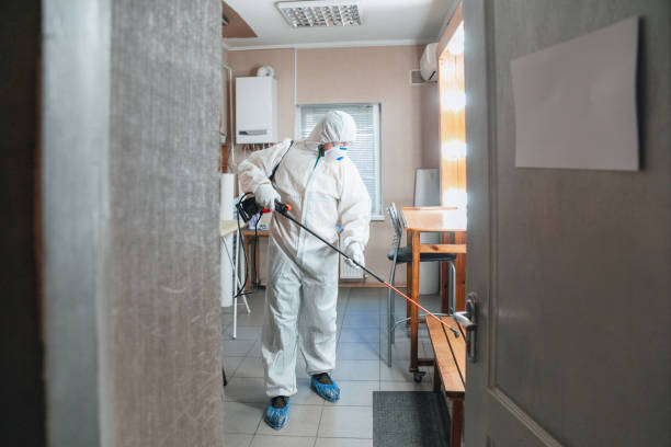 Mold Remediation for Rental Properties in Brielle, NJ
