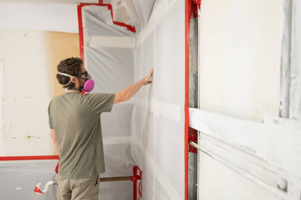 Best Mold Damage Restoration  in Brielle, NJ