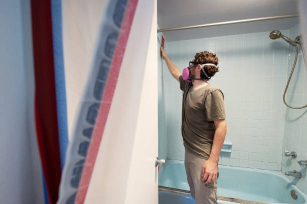Mold Odor Removal Services in Brielle, NJ