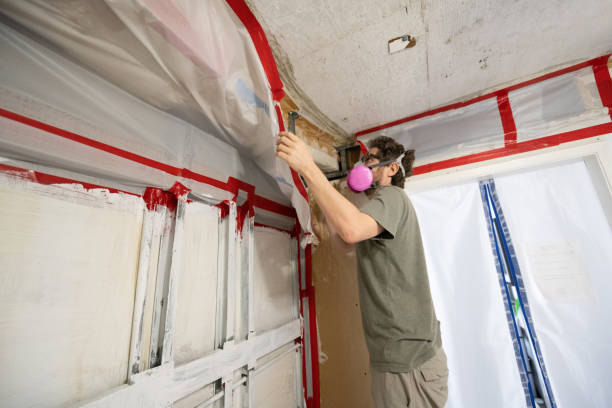 Best Post-Construction Mold Inspection  in Brielle, NJ