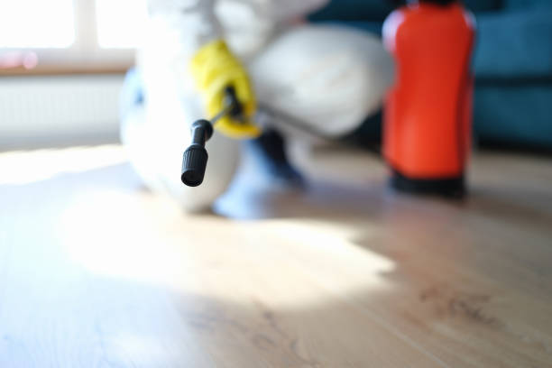 Best Comprehensive Air Testing for Mold Contaminants  in Brielle, NJ