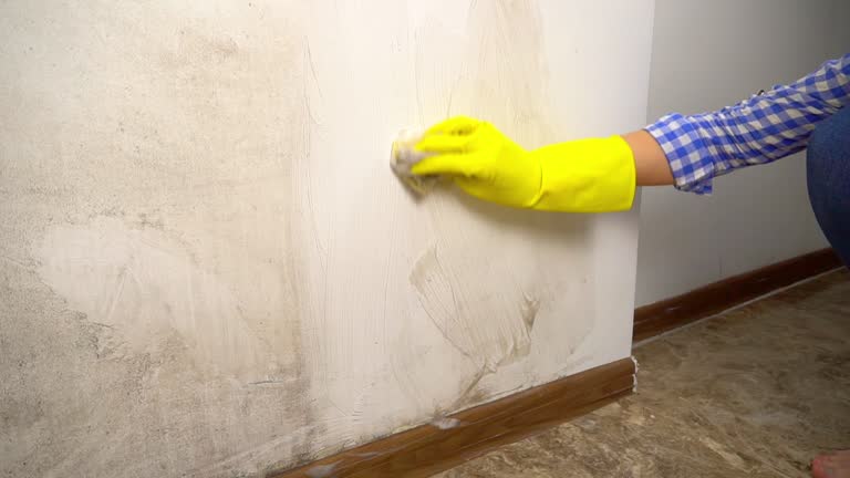 Best HVAC Mold Inspection and Cleaning  in Brielle, NJ